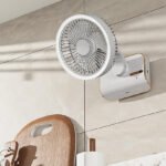 Multi-function table fan with oscillating head